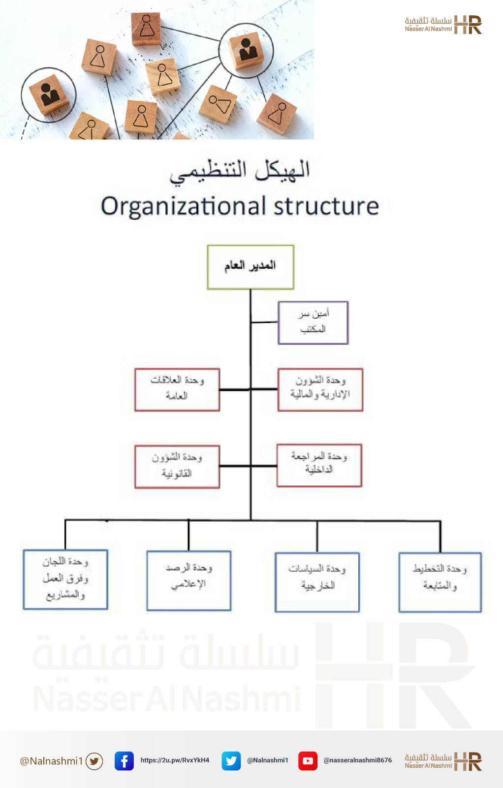 الهيكل التنظيمي